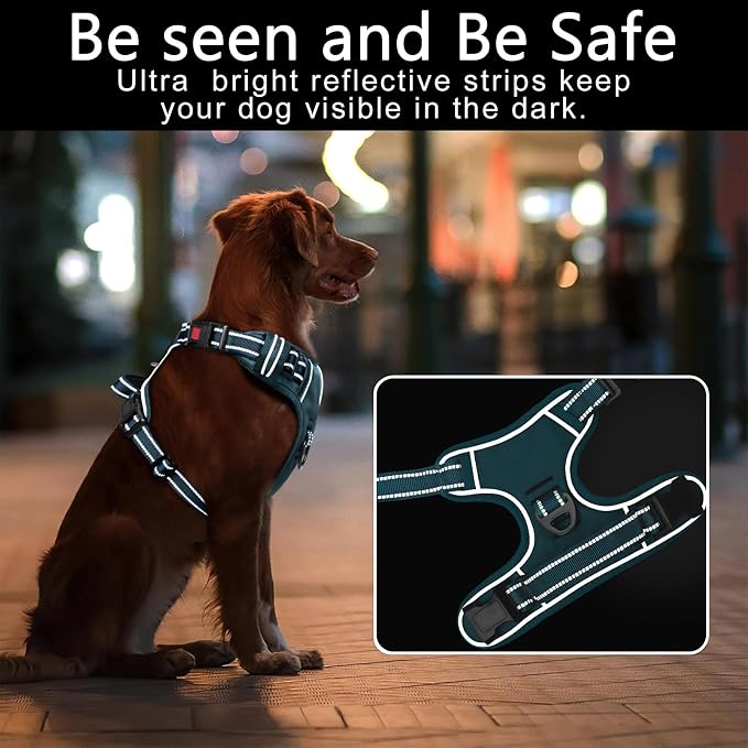 Timos Dog Harness, No Pull Large Sized with 3 Buckles, Blackish Green, L | Reflective, No Choke, Easy On & Off, Adjustable Soft Padded, Front & Back 2 Clips and Control Handle for Walking Training - Image 3