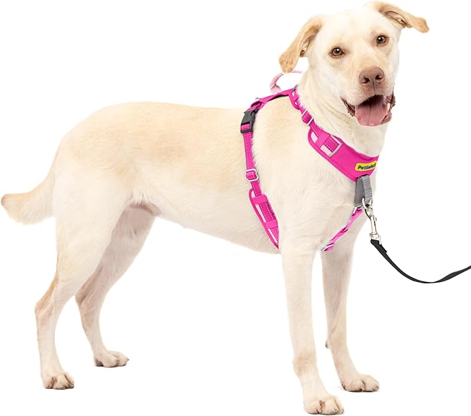 PetSafe Easy Walk Comfort No Pull Dog Harness, Pink, Large | Stops Pulling on First Use with Front Martingale Loop, Full-Body Padding, 5-Point Adjustable Fit by PetSafe