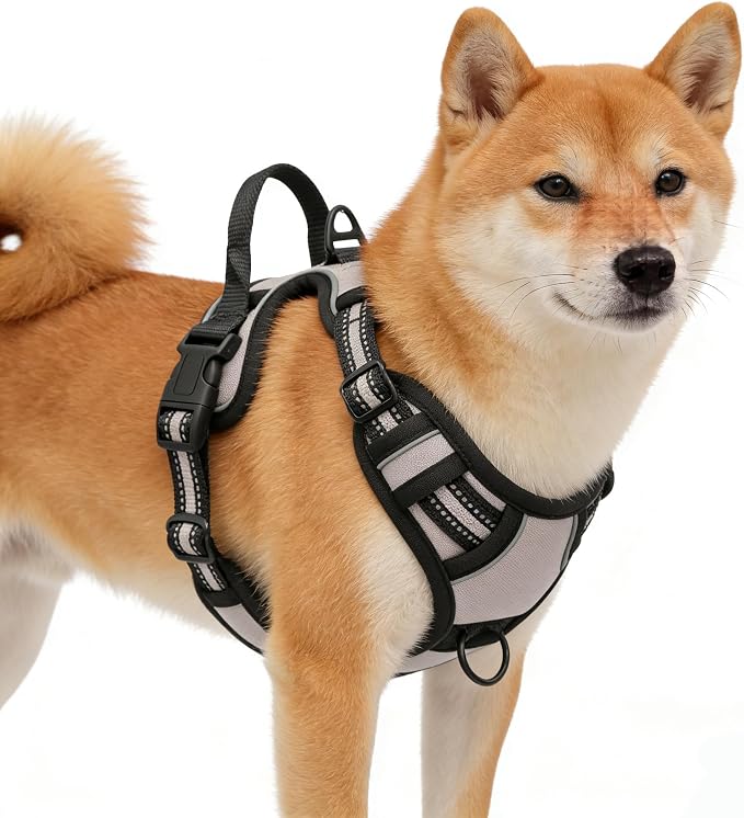Gray No-Pull Dog Harness with 2 Leash Clips，Soft Padded Vest for Small Dog, Adjustable Reflective Dog Vest Easy to Put on and Take Off,(Neck: 13"~17", Chest: 17"~21",Gray Small) by Unknown
