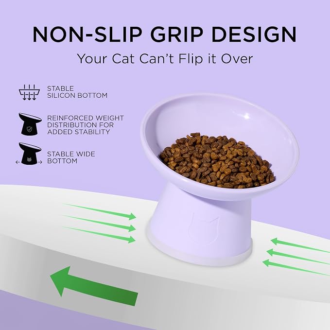 Necoichi BPA-Free Elevated Cat Food Bowls, 15° Tilted, 2-Pack (Lilac Ice) - Image 6