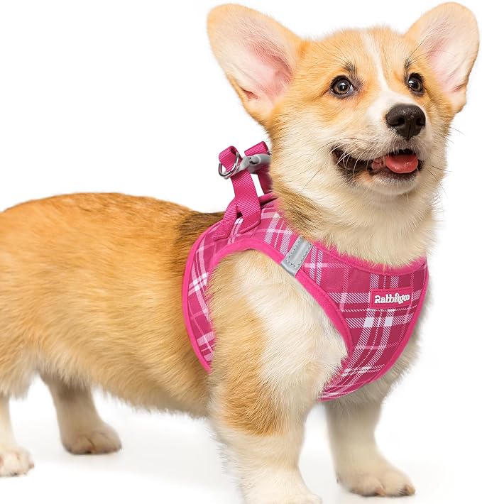 rabbitgoo Step-in Small Dog Harness, Puppy Vest for Small Medium Sized Pet | Easy Put on and off, Lightweight, Soft, Breathable Quick-Dry Air Mesh for Comfortable Secure Walking, Rose Red Plaid L by rabbitgoo