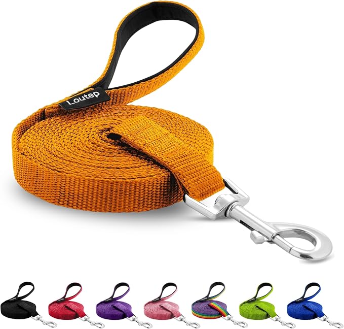 Long Line Dog Training Leash with Padded Handle, 15 ft, Orange | Durable nylon webbing with reinforced stitching and 360° swivel clip for recall and obedience by Loutep