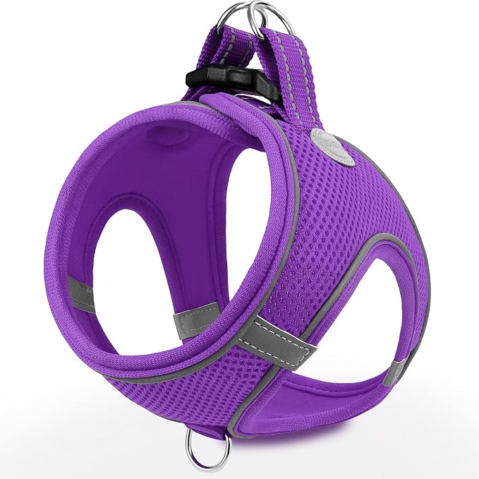 Joytale Step-in Dog Harness, Soft Breathable Mesh, Purple M | Adjustable Fit for Small Dogs, Easy Step-in with Secure Fastener, Even Chest Pressure, Reflective For Night Safety, Washable by Joytale
