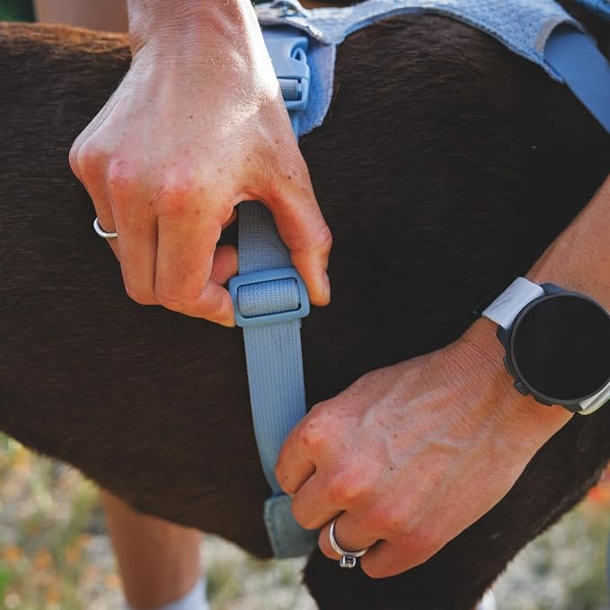 Ruffwear, Front Range Flex Dog Harness, Engineered Knit Construction for Ultimate Fit and Mobility, Lightweight Flexible Everyday Harness with Dual Leash Clips, Polar Blue, Small - Image 4