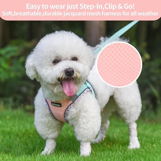 Dog Harness Small Sized and Leash Set, Turquoise-Pink XXXS | No Pull Step-in Vest, Lightweight Mesh, Reflective Design with High-Stick Magic Tape, Outdoor Use for Chihuahua, Maltese - Image 2