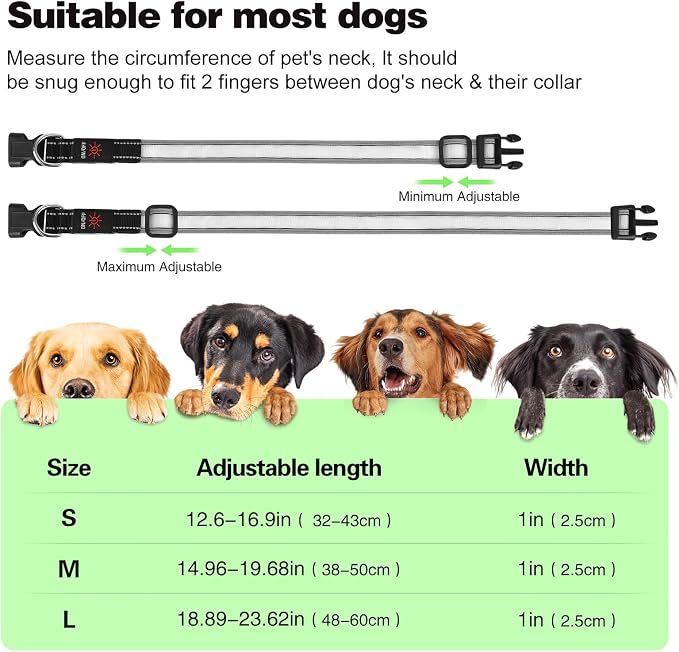 Light Up Dog Collar, Multicolor LED Dog Collar with 7 Lighting Modes - USB-C Rechargeable, Real-Time Battery Indicator, Waterproof & Adjustable Glow Collar for Safe Night Walks (L) - Image 7