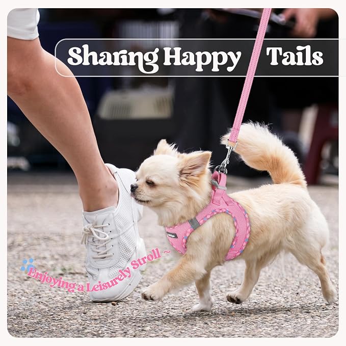 rabbitgoo Dog Harness Medium Sized and Leash Set, Step-in Puppy Pet Vest | Light, Soft, Breathable Air Mesh, Easy on and Remove with Hook & Loop, Secure Reflective for Walking, Pink & Plaid Trim L - Image 9