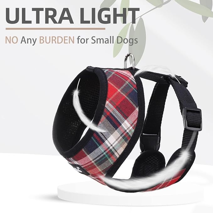 PUPTECK Small Dog Harness and Leash Set No Pull for XS XXS Sized Dogs Puppy | Escape Proof No Choke Pet Cat Adjustable Soft Padded Walking Vest - Image 5