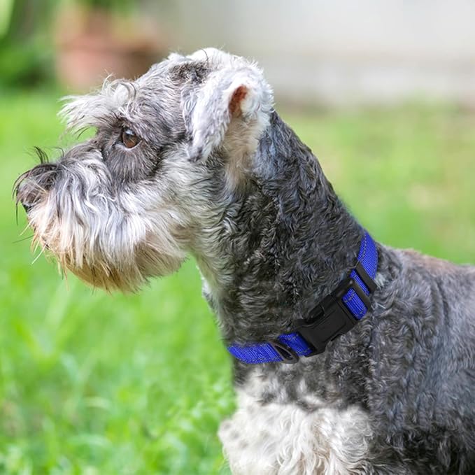 Joytale Reflective Dog Collar, Adjustable Neoprene Padded, Navy Blue M | Breathable Nylon for Medium Dogs, No Chafing on Walks and Backyard Play, All-Day Comfort, Metal D-Ring, Night Safety - Image 2