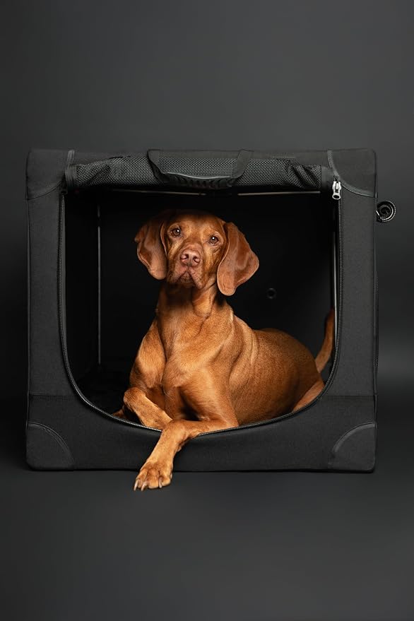 Noah & Paw Collapsible Dog Crate 36 Inches, XL Dog Crate for XL, Large Medium Breed, Travel Kennel for Car, Includes Pet Mat for Pet Cage, 2 Storage Pockets, Handbag, 10mm Locking Zippers 36*25*23 - Image 8