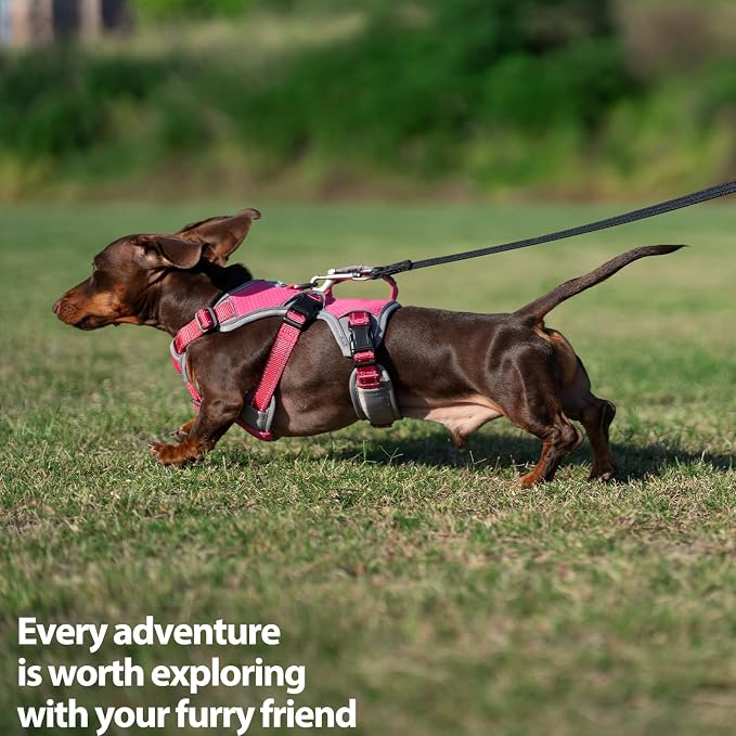 Escape Proof Dog Harness, Dachshund Harness, Reflective Dog Harness with Handle, Durable,Adjustable Vest for Small Medium Large Dogs Walking, Training, and Running Gear (Rose red,M) - Image 7