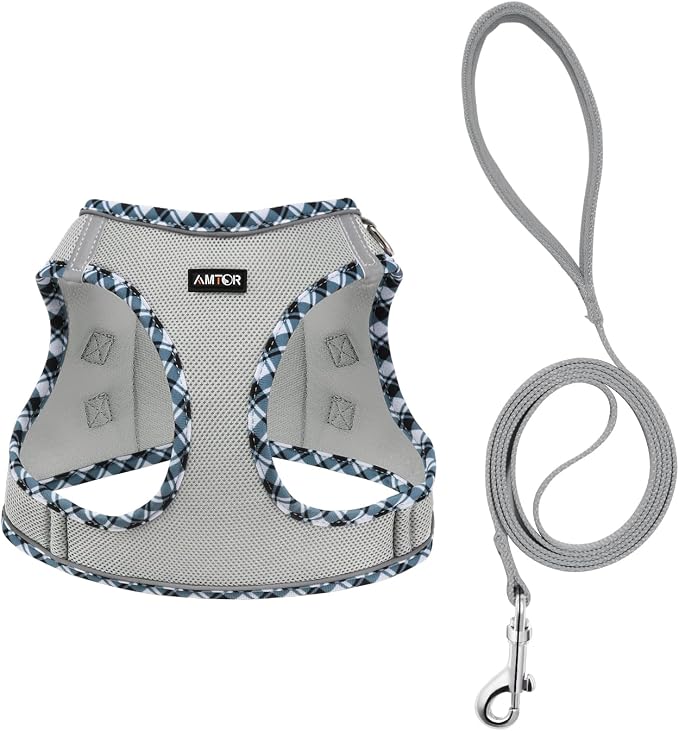 AMTOR Small Dog Harness with Leash Set, No Escape Easy Walk Puppy Harnesses for Training Walking, Step-in Reflective Soft Dogs Vest for XS S Medium Extra-Small Large Sized Dog(M,Grey) - Image 2