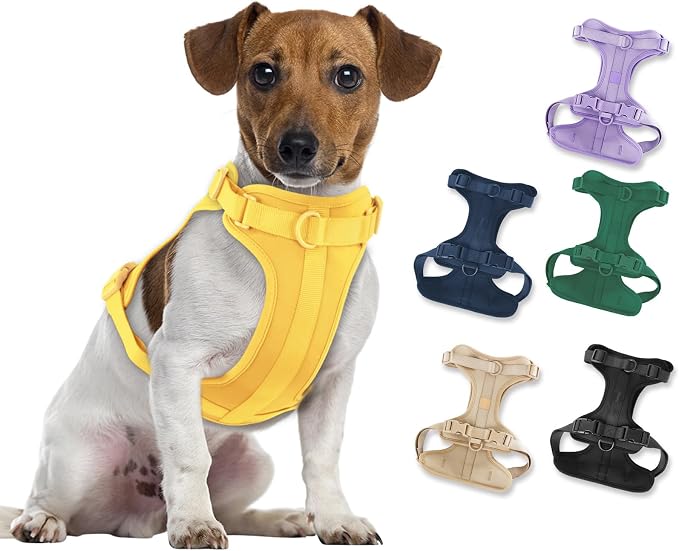 Wisedog Lightweight No Pull Dog Harness, Butter Yellow, Medium | Air Mesh, 3 Clips, Adjustable, No Choke Design, Ideal for Walking Training by WisedogPetSupplies