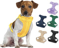 Wisedog Lightweight No Pull Dog Harness, Butter Yellow, Medium | Air Mesh, 3 Clips, Adjustable, No Choke Design, Ideal for Walking Training by WisedogPetSupplies