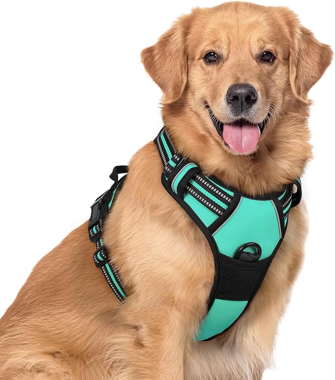 rabbitgoo Dog Harness, No Pull for Large Dogs with 2 Leash Clips, Pet Vest | No Choke with Handle, Adjustable Soft Padded, Reflective, Easy Control for Walking, Turquoise, X-Large by rabbitgoo