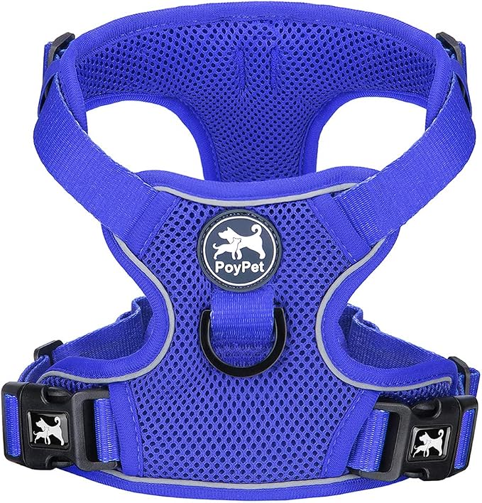 PoyPet Mesh Dog Harness, Reflective Breathable Puppy Vest for Small Dogs | Lightweight, Soft Air Mesh, Back D-ring, Adjustable, Comfortable, Double Padded, No Choke, for Daily Walking, XS, Royal Blue by PoyPet