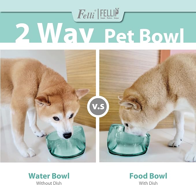 Felli Pet Oblik Acrylic Raised Dog Food Water Bowl Stainless Steel Slanted Oval Dish for Short Leg Puppy & Small Medium Pet, Elevated Tilted Metal Feeder (Classic, 1.5 Cups Oval Dish) - Image 9