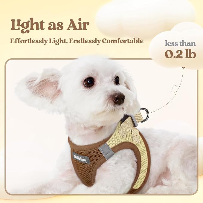 rabbitgoo Dog Harness Medium Sized and Leash Set, Step-in Puppy Pet Vest | Light, Soft, Breathable Air Mesh, Easy on and Remove with Hook & Loop, Secure Reflective for Walking, Brown & Beige L - Image 4