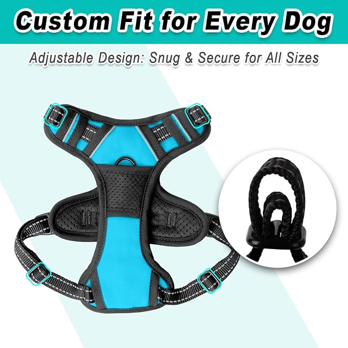 BARKBAY Dog Harness for Small Sized Dog No Pull 2 Leash Clips Dog Vest | Control Handle,Comfort,Heavy Duty,Adjustable Reflective,Perfect for Outdoor Training, Walking,Hiking(XS,Blue) - Image 6