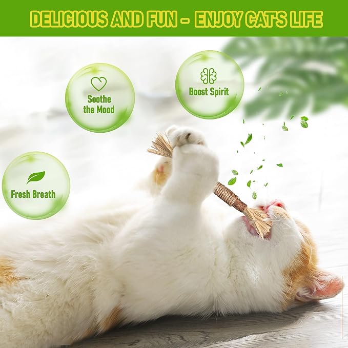 BAWAN Silvervine Sticks Cat Chew Toys for Indoor Cats Dental Care Teeth Cleaning, Natural Kitten & Cat Teething Toys for Health, Cat Chew Stick Suitable for All Breeds of Aggressive Chewers Cat - Image 2