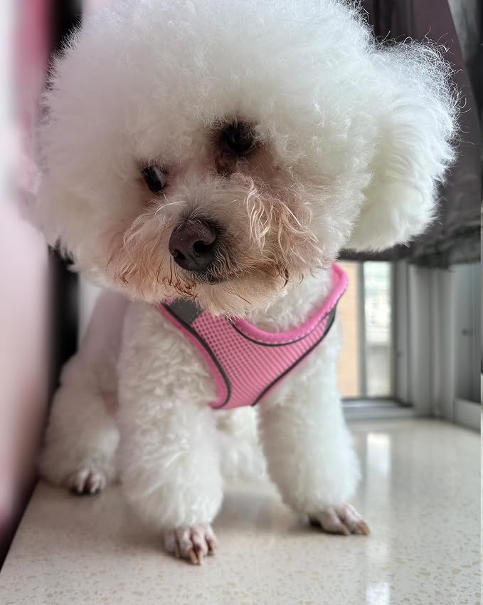Solmoony No Pull Dog Harness - Step In, Mesh, Pink (L) for Small & Medium Dogs - Image 2