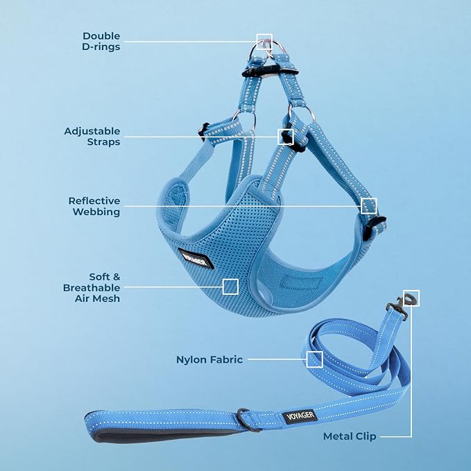 Best Pet Supplies Voyager Adjustable Step-in Flex Breathable Mesh Dog Harness for Small Medium Large Dogs Leash Set (Baby Blue), L - Image 3