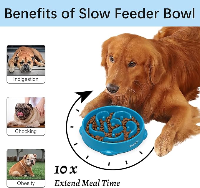 MateeyLife 1-Pack Slow Feeder Dog Bowls, 4 Cups, Dog Puzzle Feeder Bowl | Food-contact safe, dishwasher safe, non-slip base, maze design, for fast eaters, for dogs and cats, daily mealtimes - Image 2