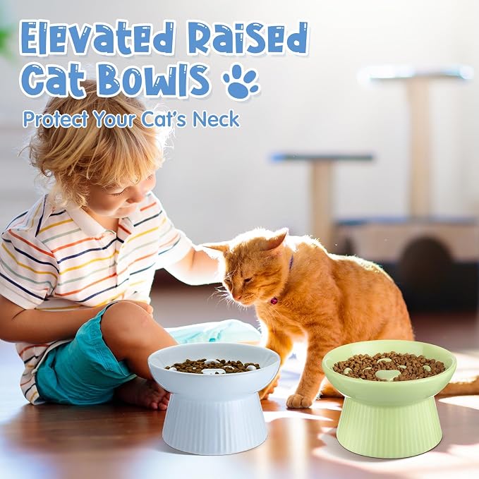 Tioncy 2 Pcs Ceramic Elevated Slow Feeder Cat Bowl, Raised Cat Slow Feeder Bowl, Anti Vomiting for Dry and Wet Food, No Spill High Edge Easy Clean Dishwasher Safe (Green,Blue) - Image 6