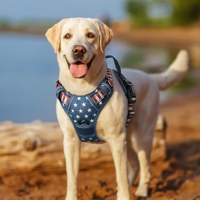rabbitgoo Dog Harness, No Pull for Small Dogs with 2 Leash Clips, Pet Vest | No Choke with Handle, Adjustable Soft Padded, Reflective, Easy Control for Walking, Blue Star, Small - Image 8