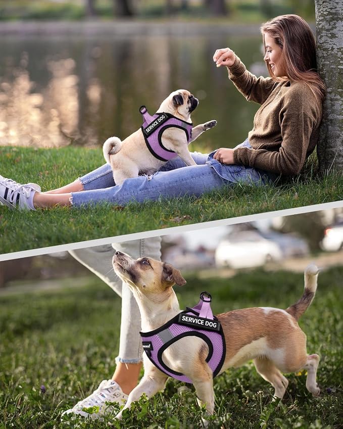 FAYOGOO Service Dog Vest Set for Small Dogs, Mesh Harness and Leash | Lightweight step-in vest with leash and removable identification patches; measure neck and chest before choosing a size - Image 5