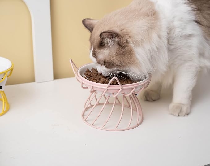 Raised Pet Food and Water Bowl, Cat and Small Dog Bowl, Tilted Ceramic Cat Water Bowl No Spill,15oz, Dishwasher Safe - Image 7