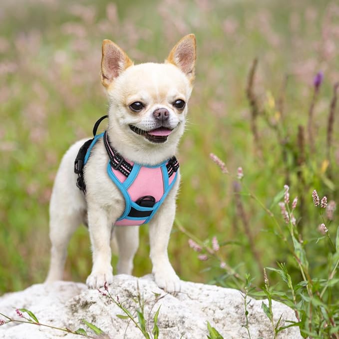 rabbitgoo Dog Harness, No Pull for Small Dogs with 2 Leash Clips, Pet Vest | No Choke with Handle, Adjustable Soft Padded, Reflective, Easy Control for Walking, Pink & Blue, X-Small - Image 7
