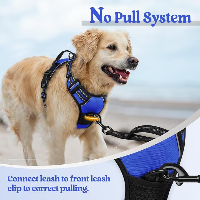 rabbitgoo Dog Harness, No Pull for Large Dogs with 2 Leash Clips, Pet Vest | No Choke with Handle, Adjustable Soft Padded, Reflective, Easy Control for Walking, Dazzling Blue, X-Large - Image 5