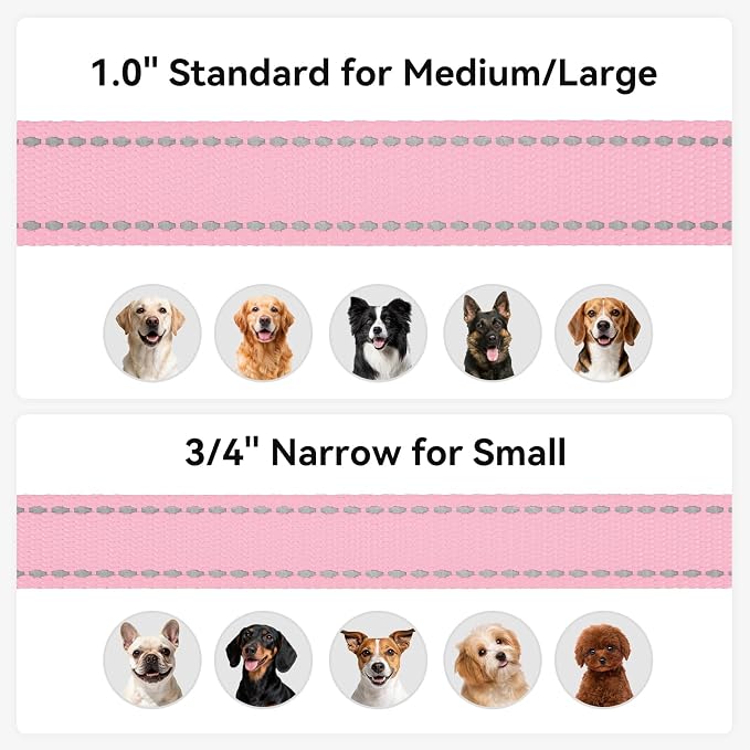 Joytale Reflective Dog Leash for Medium & Large Dogs, 6 FT x 1", Pink | Heavy Duty Nylon Webbing, Padded Handle for Comfort, Visible at Night, for Walking & Training - Image 6