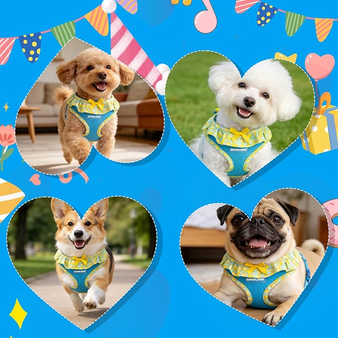 EXPAWLORER Step-in Dog Harness Small Sized and Leash Set | Cute Small Dog Harness No Pull Girl, Breathable Soft Mesh Padded, Adjustable Light Puppy Vest for Dogs Cats, Lemon S - Image 6