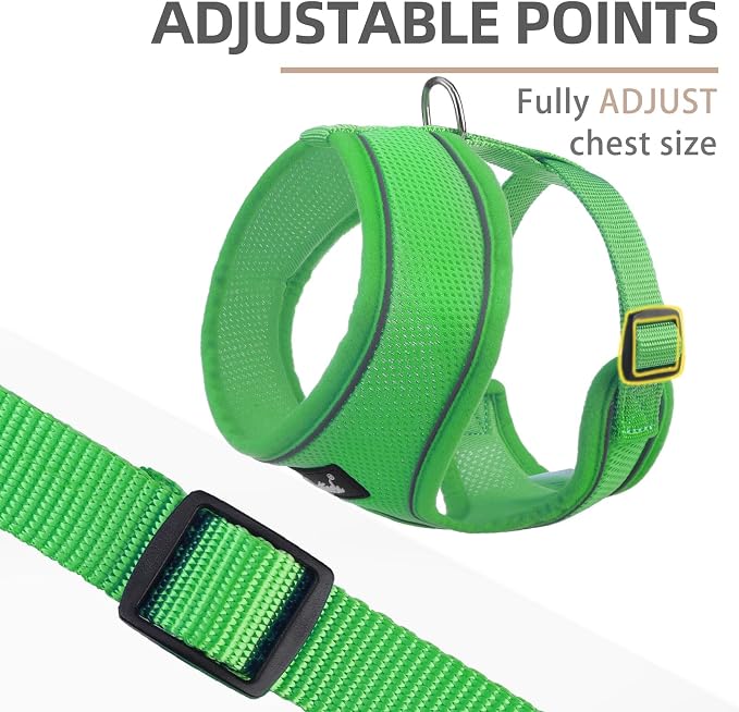 PUPTECK Small Dog Harness and Leash Set No Pull for XS XXS Sized Dogs Puppy | Escape Proof No Choke Pet Cat Adjustable Soft Padded Walking Vest - Image 3