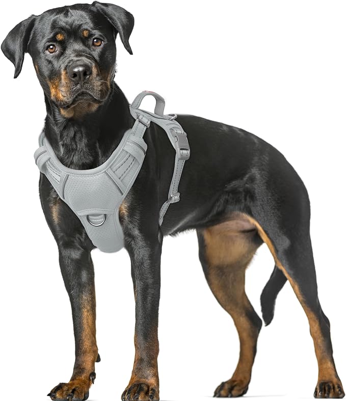 BARKBAY No Pull Dog Harness Large Reflective Dog Harness with Front Clip and Easy Control Handle for Walking Training Running with ID tag Pocket(Grey,XL) by BARKBAY