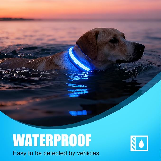 LED Dog Collar Rechargeable, Brightest Light Up Dog Collars, Black L | 1,600 Feet of High Visibility, Magnetic Charging, Glow in Dark Dog, Nylon Materials, Lights for Night Walking - Image 2
