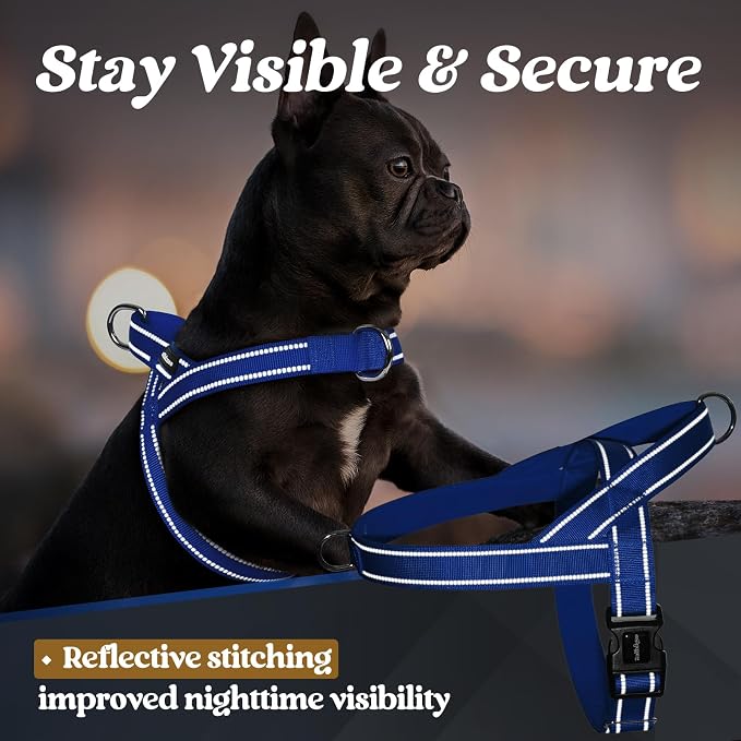 rabbitgoo Dog Harness No Pull, Quick Fit for Medium Sized Dog, Reflective | Chest Adjustable Pet Vest with Soft Padded Handle, No Choke Escape Proof for Walking Training, Blue M - Image 8