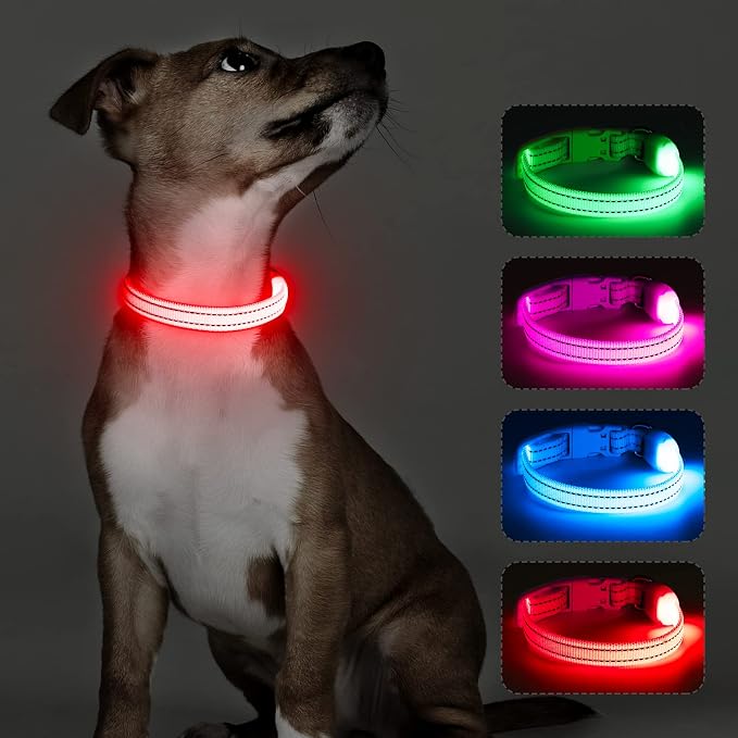 Light Up Dog Collar for Small Dogs, LED Dog Collar Rechargeable Safety Dog Lights, Fully Adjustable Glow in The Dark Puppy Collars for Night Walking & Camping (X-Small, Red) - Image 7