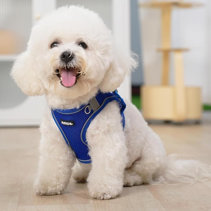 AIITLE Dog Harness and Leash Set, Step-in Puppy Pet Vest, Royal Blue XXS | Breathable Mesh, Adjustable Fit, Reflective Design, Padded Leash Handle, for Small-Medium Dogs & Cats, Walking, Training - Image 11