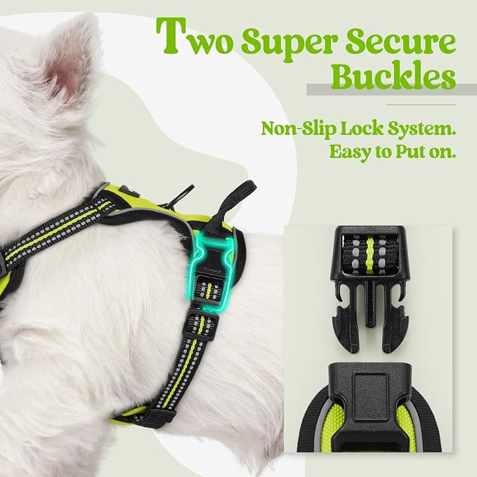 rabbitgoo Dog Harness No Pull with 2 Leash Clips, Adjustable Soft Padded, Reflective Oxford No Choke Pet Vest with Easy Control Handle for Puppy, Green, XS | No Choke with Handle, Adjustable Soft Padded, Reflective, Easy Control for Walking, Wild Lime,... - Image 3