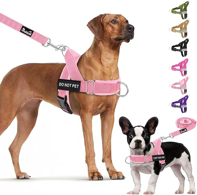Lukovee No Pull Dog Harness and Leash Set, Soft Padded Vest with Front Clip | Adjustable, No Choke, Reflective,Durable Easy Control Pet Vest Harness for Safe Walking for Medium Large Dogs (Pink, L) by Lukovee