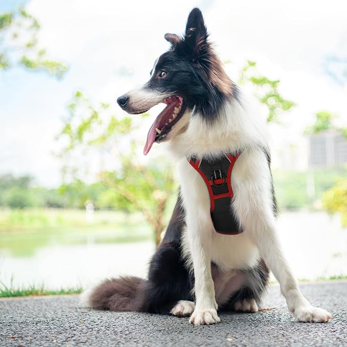 Upgraded No Pull Dog Harness, Reflective Adjustable Vest | with a Training Handle + 2 Metal Leash Hooks+ 3 Snap Buckles +4 Slide Buckles(XL, Black) - Image 6