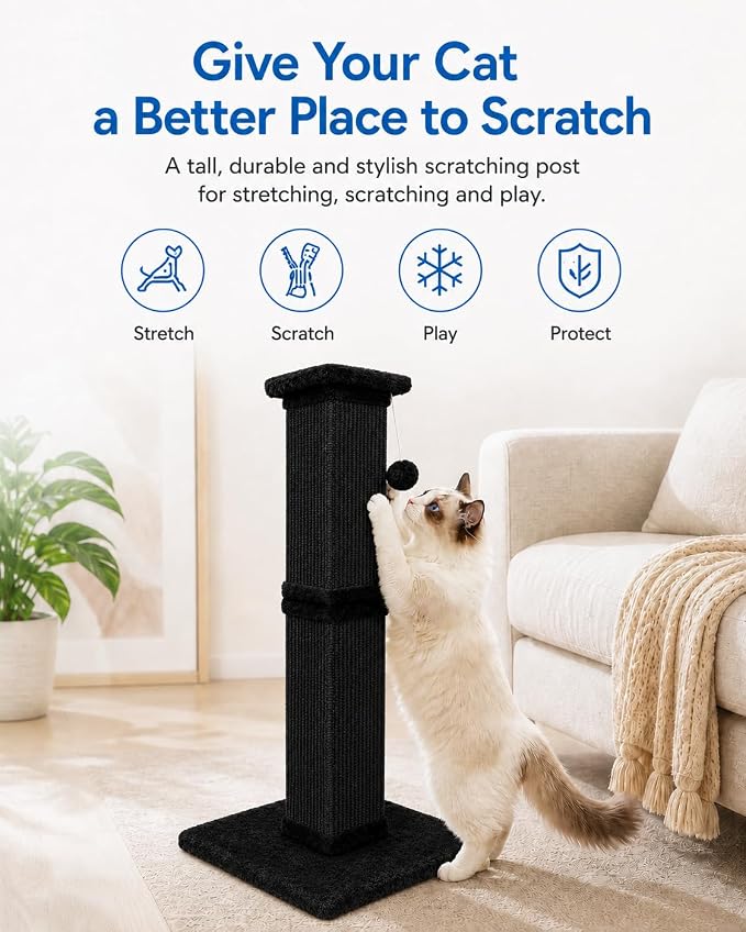 Cat Scratching Post for Indoor Cats, Sisal Cat Scratcherl, 32 Inch | Full-Body Stretching Cat Scratch Post, Wide Stable Base, Heavy Duty Post for Cat Adults to Protect Furniture, Pure Black - Image 8