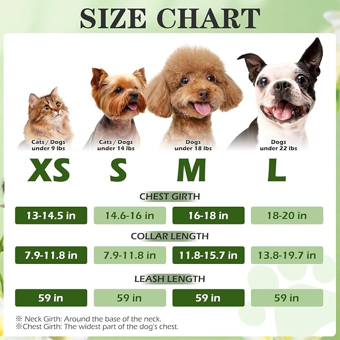 Small Dog Harness and Leash Set - Cute Puppy Harness Leash Dog Collar with AirTag Holder Silicone Case, Soft Padded Step in Pet Vest Reflective for Outdoor Walking, Pineapple XS - Image 6