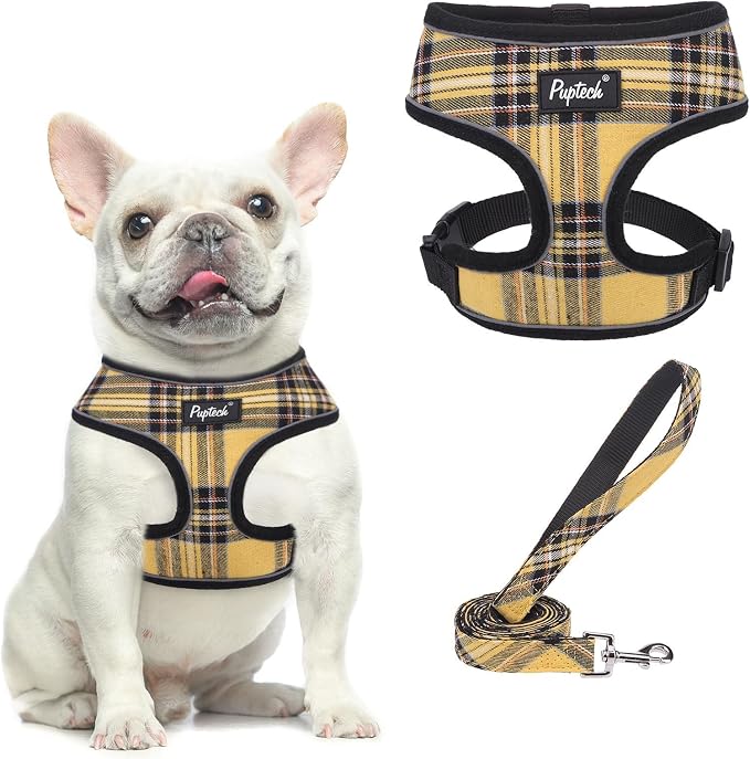 PUPTECK Small Dog Harness and Leash Set No Pull for XS XXS Sized Dogs Puppy | Escape Proof No Choke Pet Cat Adjustable Soft Padded Walking Vest by PUPTECK