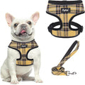 PUPTECK Small Dog Harness and Leash Set No Pull for XS XXS Sized Dogs Puppy | Escape Proof No Choke Pet Cat Adjustable Soft Padded Walking Vest by PUPTECK