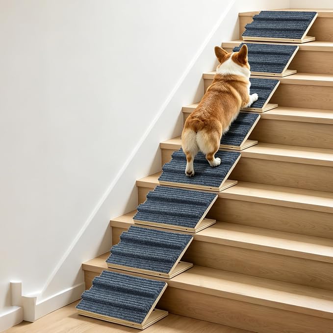Dog Ramp for Stairs for Small Dogs Up to 40 lbs - Adjustable Dog Stair Ramp with Non-Slip Carpet, Foldable Pet Ramp for Stairs, Dog Ramp Stairs for Senior Dogs, Puppies, Bed, Sofa (8-Pack) by Unknown