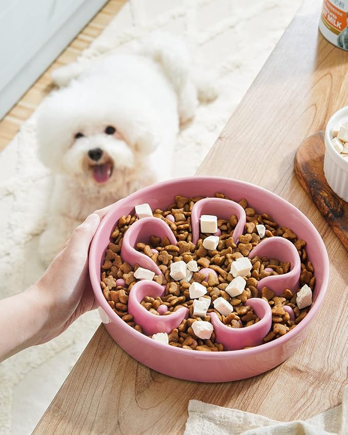 LE TAUCI Slow Feeder Dog Bowls Ceramic, 1.5 Cups Dog Food Bowl, Puppy Slow Feeder Dish for Fast Eaters,Pink Bloom - Image 9